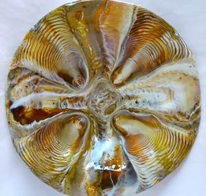 Figure 4...Final bowl "Tortoise Shell"